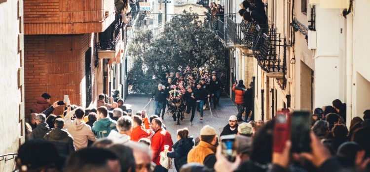 La foguera d’Albocàsser per Sant Antoni ja espera per a ser cremada