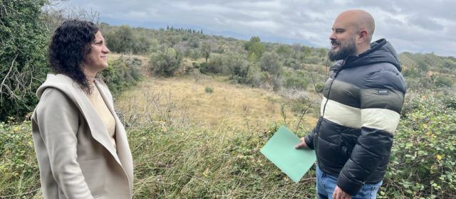 El Ayuntamiento de Canet Lo Roig creará un banco de tierras con los campos abandonados