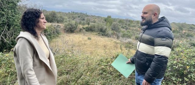 El Ayuntamiento de Canet Lo Roig creará un banco de tierras con los campos abandonados
