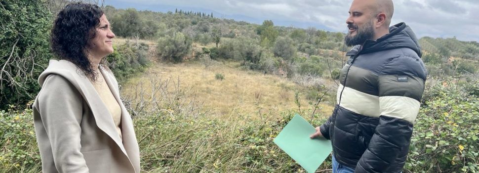 El Ayuntamiento de Canet Lo Roig creará un banco de tierras con los campos abandonados