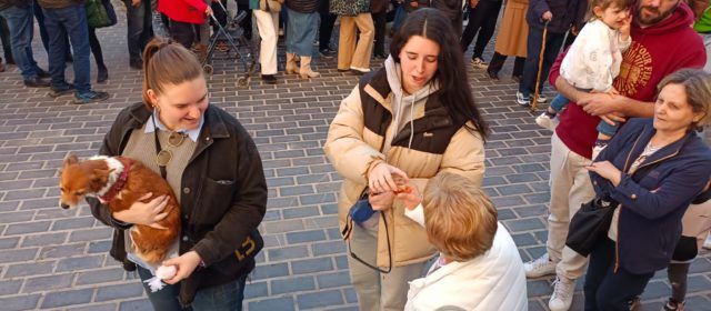 Récord de participación en las actividades organizadas en Sant Jordi para las fiestas de Sant Antoni