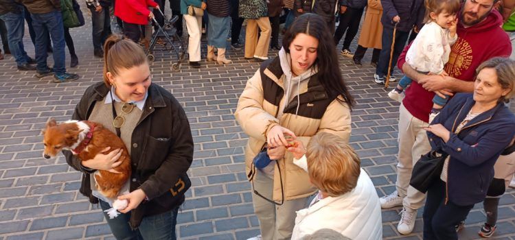 Récord de participación en las actividades organizadas en Sant Jordi para las fiestas de Sant Antoni