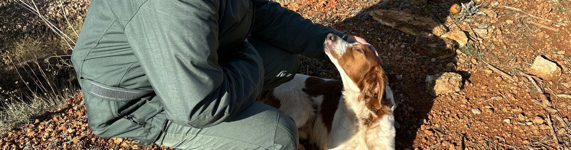 El SEPRONA rescata un perro bretón perdido en Tortosa, al borde de su muerte por inanición
