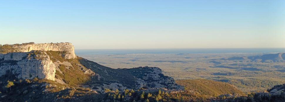 Vinaròs Mail, 14-1-24