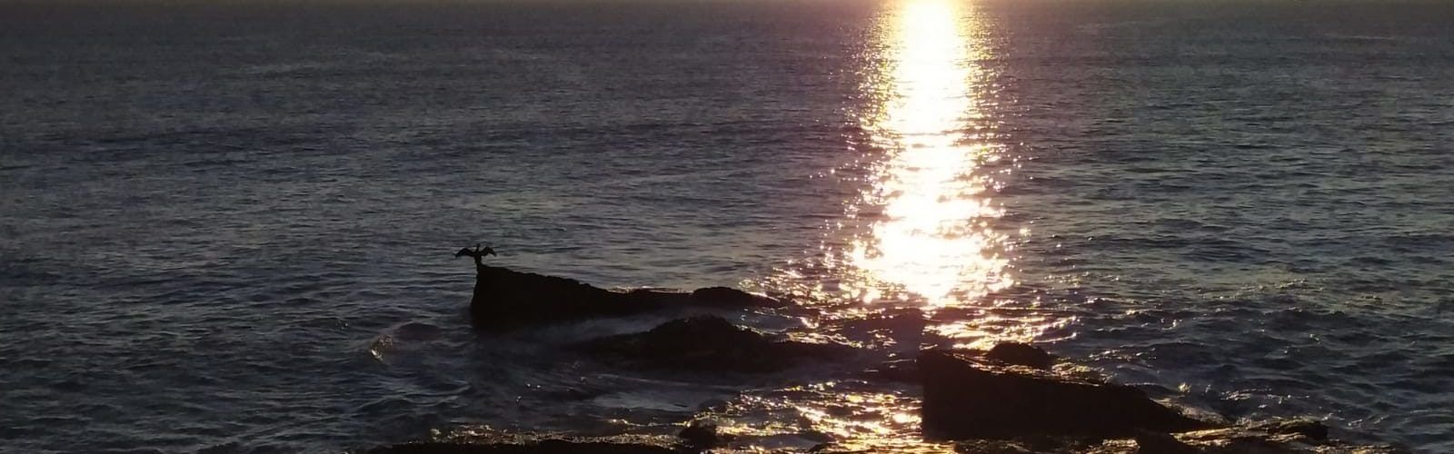 El “parte” del temps: Pujaran prou les temperatures, demà més clarament