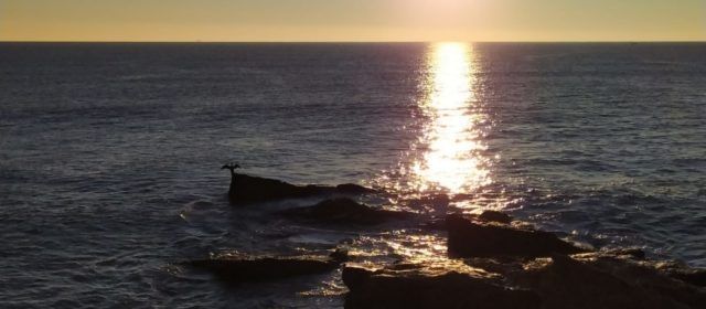 El “parte” del temps: Pujaran prou les temperatures, demà més clarament