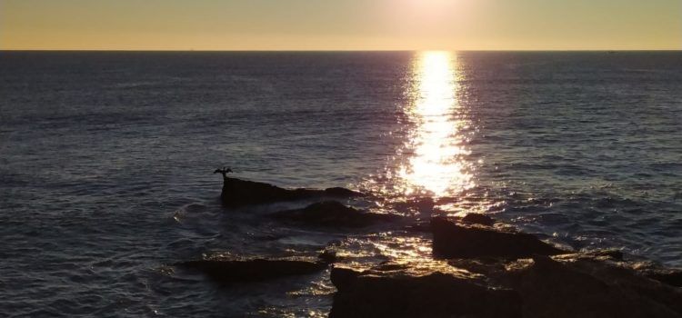 El “parte” del temps: Pujaran prou les temperatures, demà més clarament