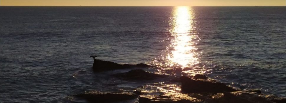 El “parte” del temps: Pujaran prou les temperatures, demà més clarament