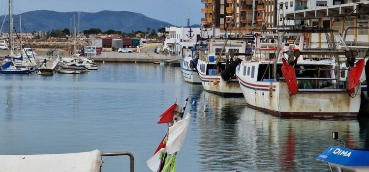 Borriana, Benicarló i Vinaròs tornen a la federació provincial de confraries