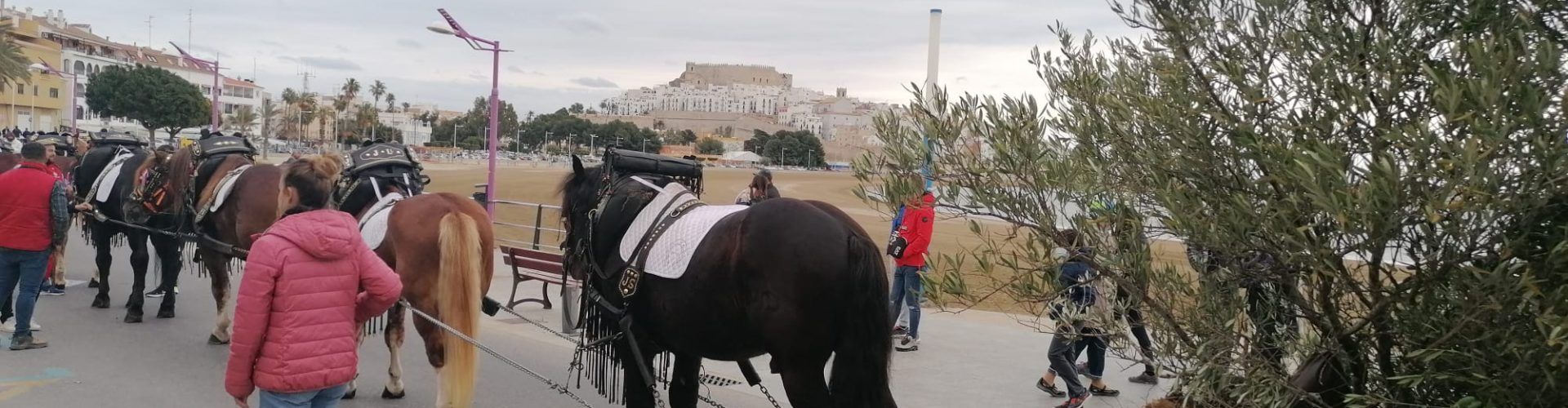 Peñíscola arranca este fin de semana la programación de San Antonio Abad