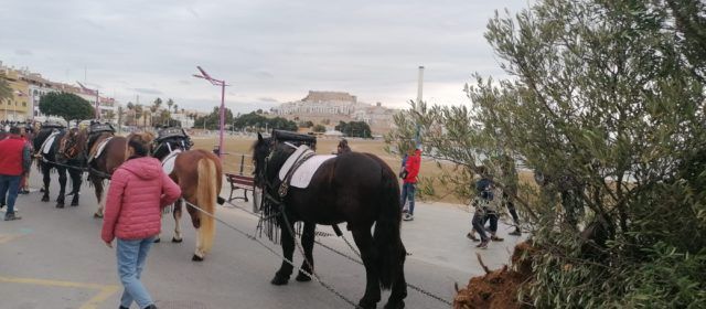 Peñíscola arranca este fin de semana la programación de San Antonio Abad