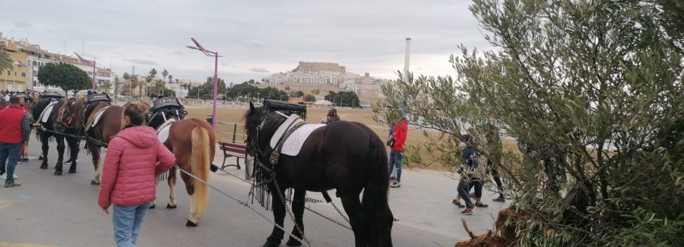 Peñíscola arranca este fin de semana la programación de San Antonio Abad
