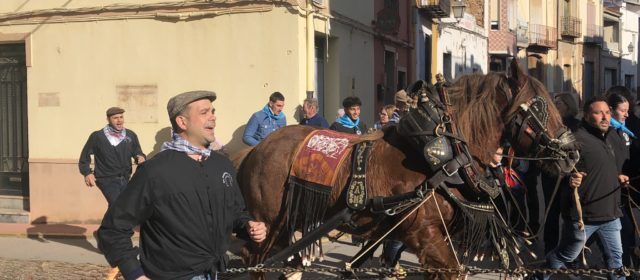 Santa Magdalena inicia Sant Antoni amb ‘l´Entrà’ del Pi dels Quintos i Quintes 