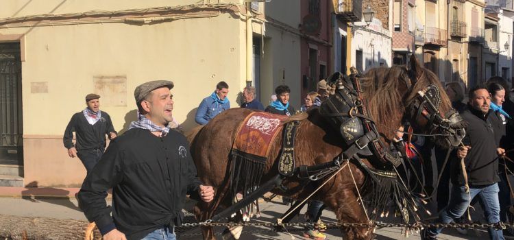 Santa Magdalena inicia Sant Antoni amb ‘l´Entrà’ del Pi dels Quintos i Quintes 