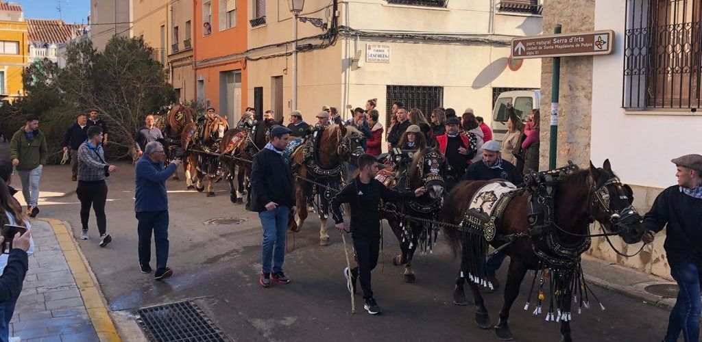 Tot llest per a l´Entrà del Pi dels Quintos i Quintes