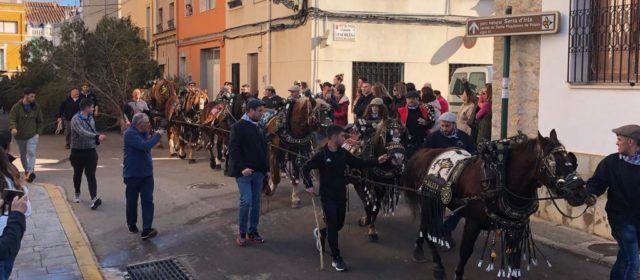 Tot llest per a l´Entrà del Pi dels Quintos i Quintes