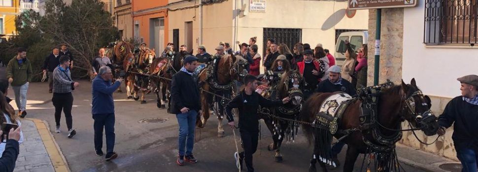 Tot llest per a l´Entrà del Pi dels Quintos i Quintes