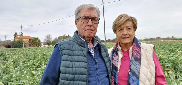 José Antonio Marzá i Maria Caldés, homenatjats en la XXXI Festa de la Carxofa per tota una vida gestionant les terres familiars