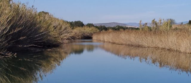 Passejant per la costa