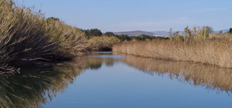 Passejant per la costa