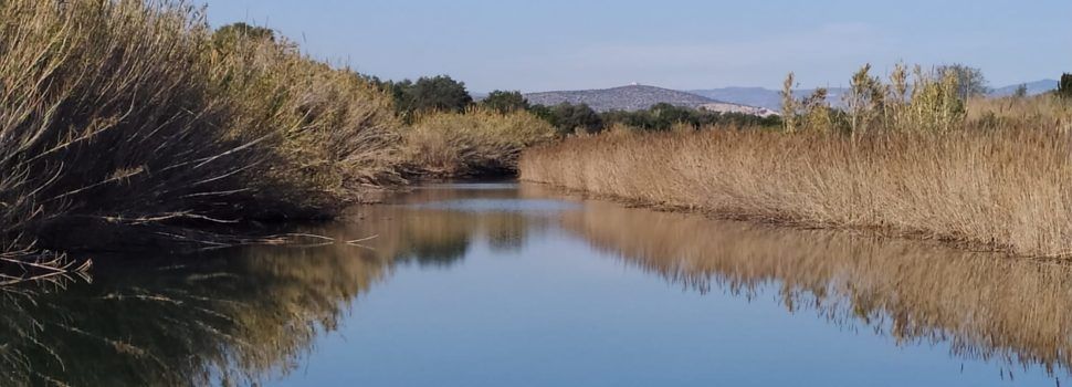 Passejant per la costa