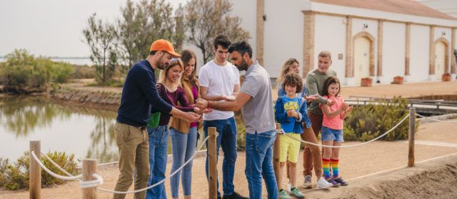 MónNatura Delta de l’Ebre engega la dotzena temporada amb activitats ornitològiques i familiars