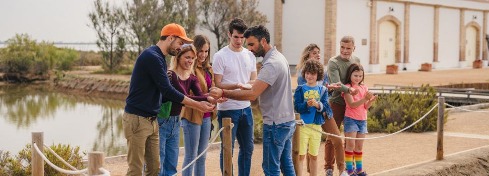 MónNatura Delta de l’Ebre engega la dotzena temporada amb activitats ornitològiques i familiars