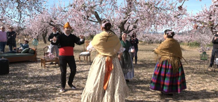 Ametlers en flor, dansa i poesia d’Estellés com a revulsiu turístic a Albocàsser