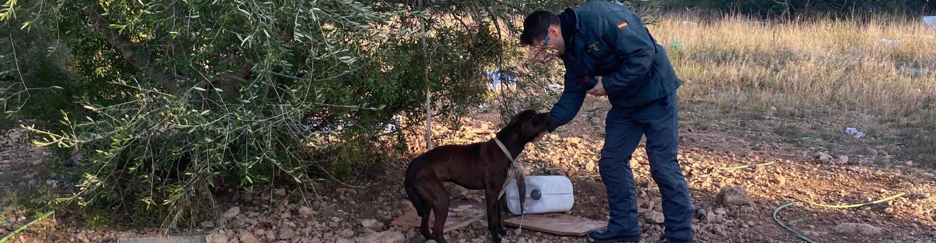 El SEPRONA de la Guardia Civil investiga a un vecino de Tortosa por presunto delito de maltrato animal