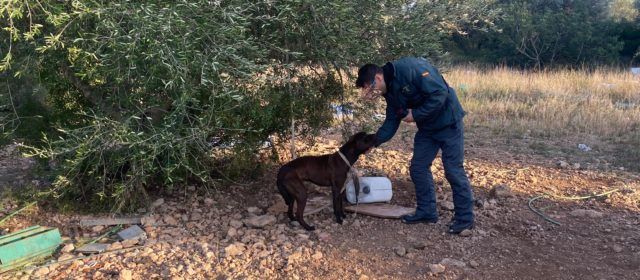 El SEPRONA de la Guardia Civil investiga a un vecino de Tortosa por presunto delito de maltrato animal