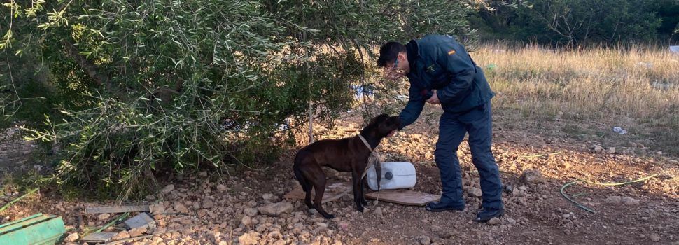 El SEPRONA de la Guardia Civil investiga a un vecino de Tortosa por presunto delito de maltrato animal