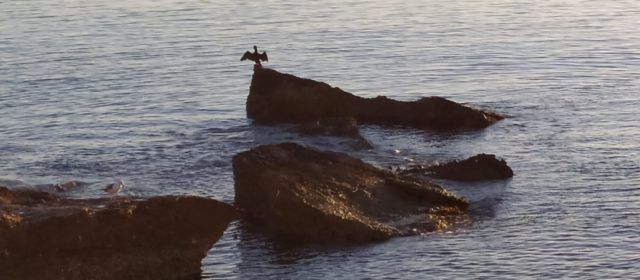 El “parte” del temps: sembla que la borrasca Louis, que així l’han batejada, poca cosa ens portarà