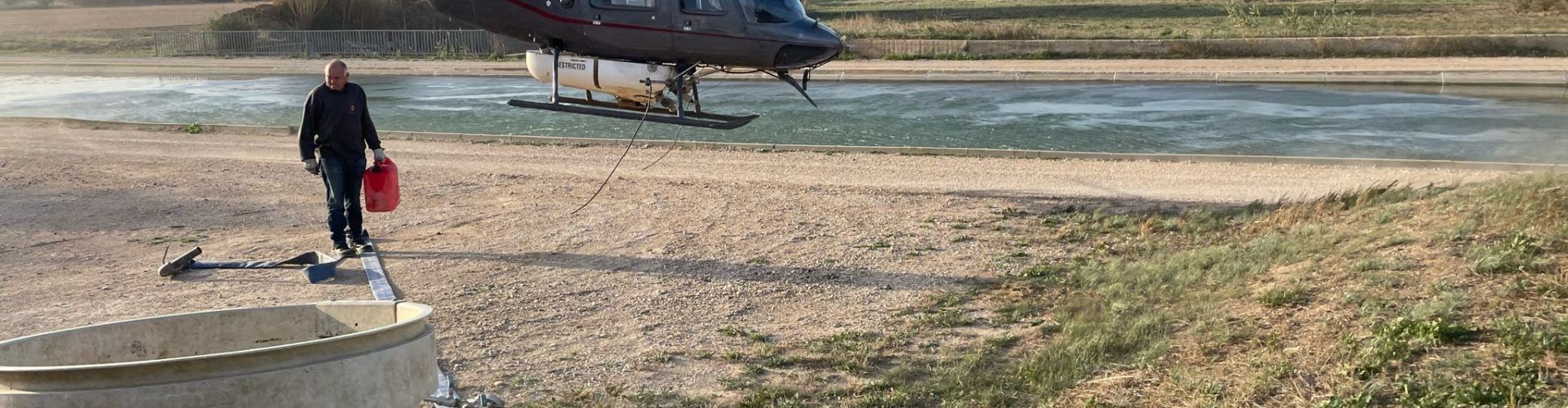 El COPATE inicia el tractament de mosca negra reclamant un major finançament