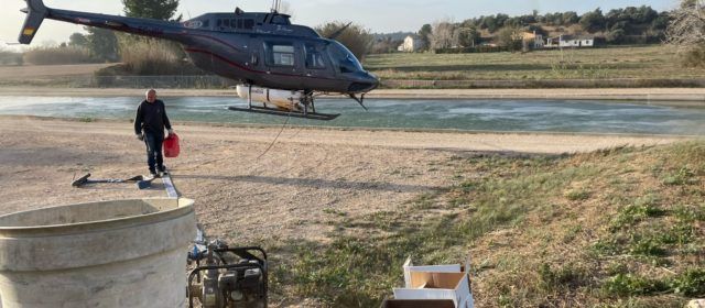 El COPATE inicia el tractament de mosca negra reclamant un major finançament