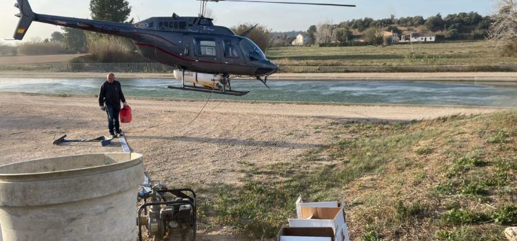 El COPATE inicia el tractament de mosca negra reclamant un major finançament