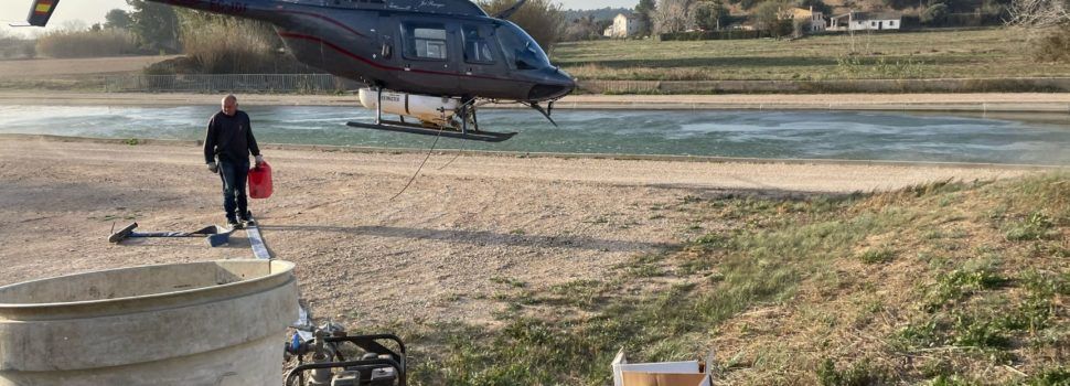 El COPATE inicia el tractament de mosca negra reclamant un major finançament