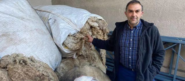 Los ganaderos de Els Ports no encuentran salida a la lana y la acumulan en sus masías