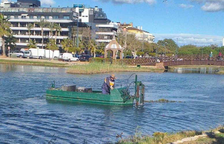 El Ayuntamiento de Peñíscola avanza en las tareas de rutina de desbroce del marjal y la zona del Ullal