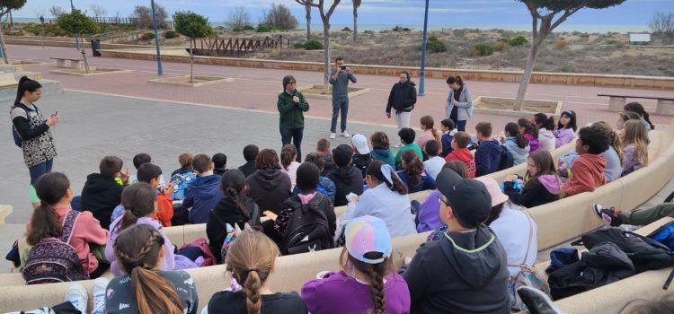 Escolars de Peníscola reforesten les dunes de la platja Nord per a reforçar la seua capacitat de contenció de temporals marítims