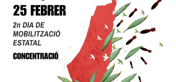 Segona mobilització a Vinaròs contra el genocidi a Palestina