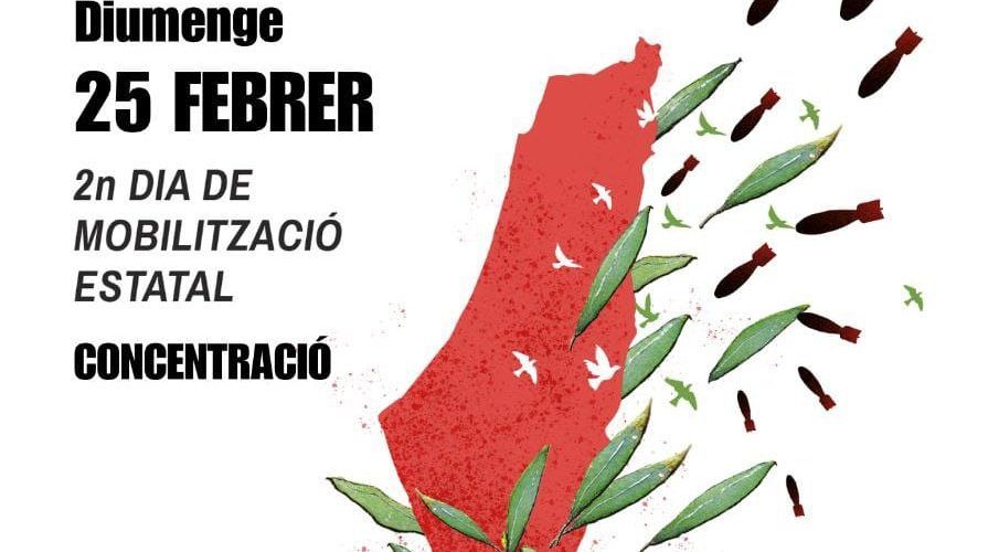 Segona mobilització a Vinaròs contra el genocidi a Palestina