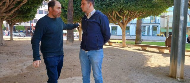 Benicarló prepara més de 1.500 quilos de carxofes per a la Torrada Popular