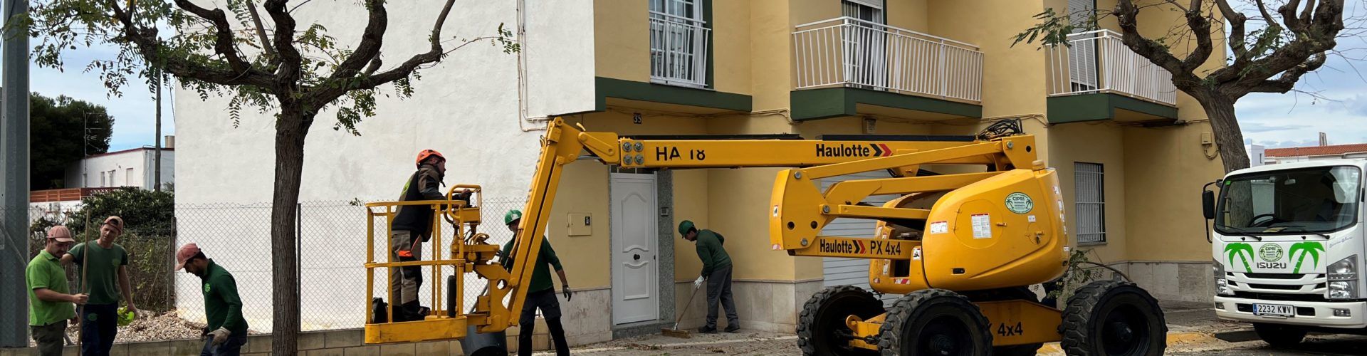 Obres i Serveis poda els arbres de l’avinguda de Maria Auxiliadora