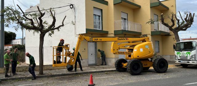 Obres i Serveis poda els arbres de l’avinguda de Maria Auxiliadora