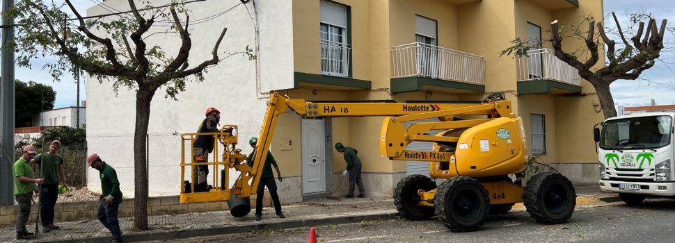Obres i Serveis poda els arbres de l’avinguda de Maria Auxiliadora