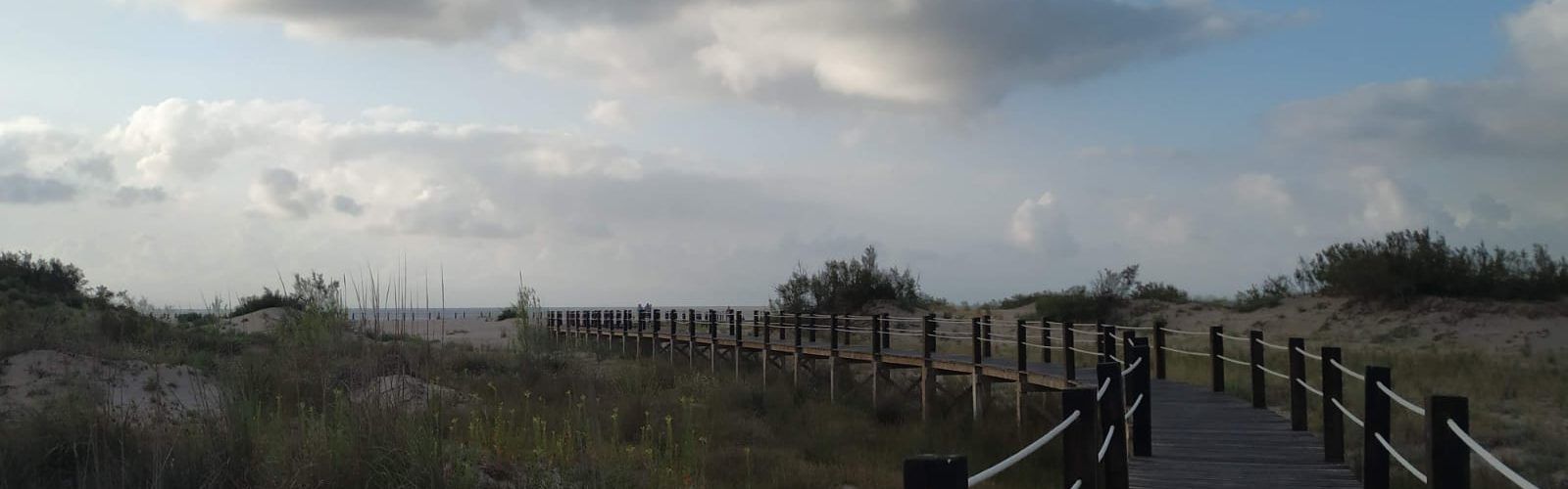 Fotos: Passarel.les i dunes a la platja de Riumar de Deltebre