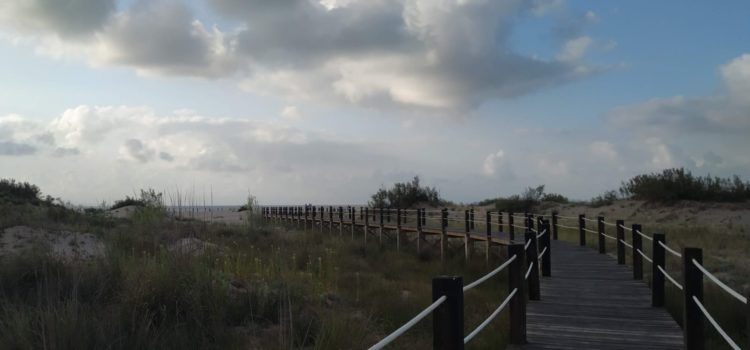 Fotos: Passarel.les i dunes a la platja de Riumar de Deltebre