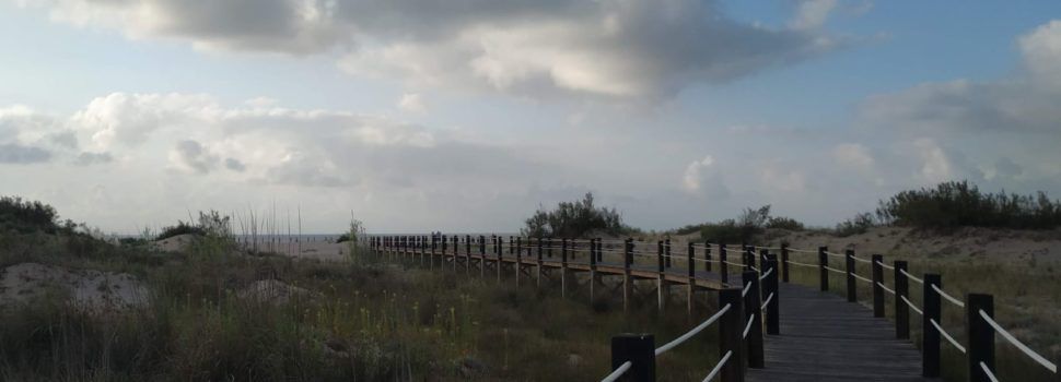 Fotos: Passarel.les i dunes a la platja de Riumar de Deltebre