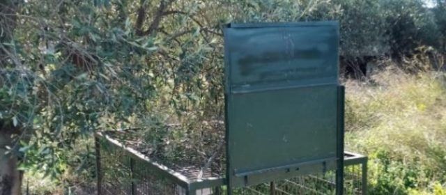 L’Ajuntament d’Alcalà-Alcossebre adjudica un servei per a la localització i captura de porcs senglars