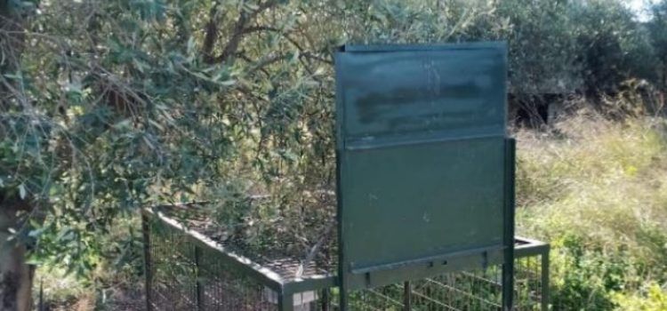 L’Ajuntament d’Alcalà-Alcossebre adjudica un servei per a la localització i captura de porcs senglars